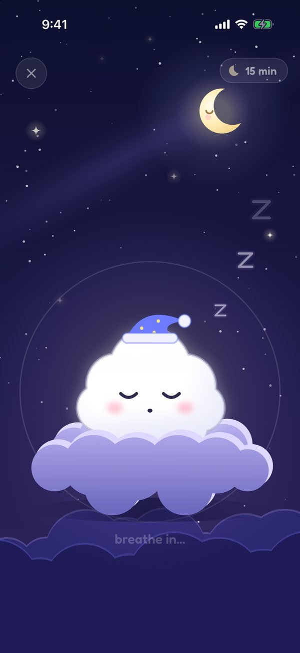 The night light: sleeping Puff under a crescent moon with a 15 minute timer